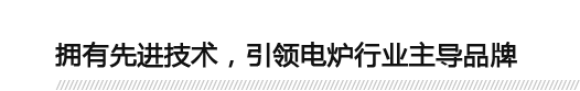 拥有先进技术，引领电炉行业主导品牌